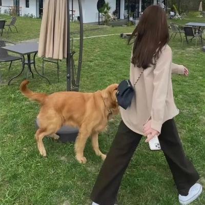 苔丝国语