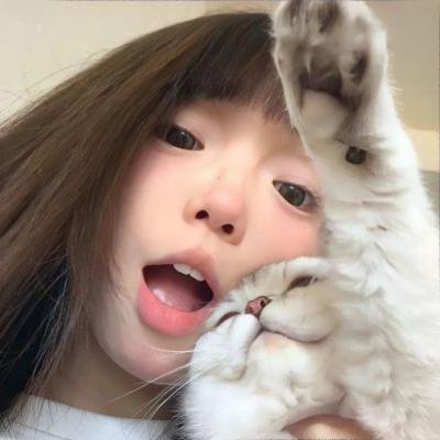喵的诈骗集团